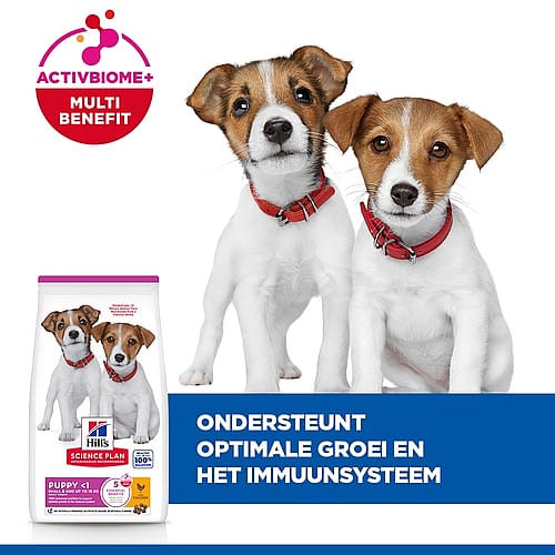 Hill's Science Plan Small & Mini Puppyvoer met Kip