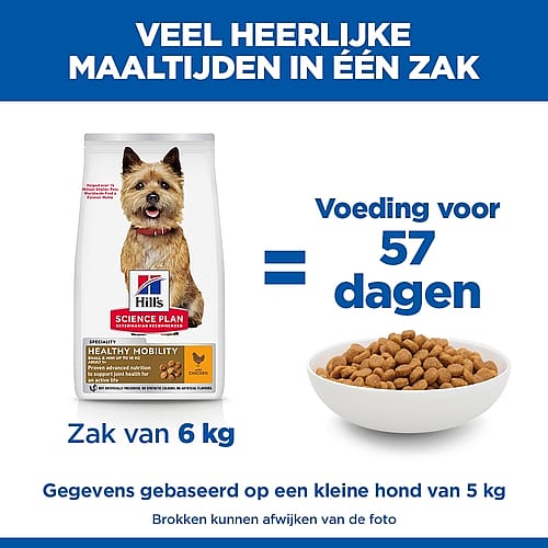 dog food, 6 kg bag, dry food, small breed, kibble bowl