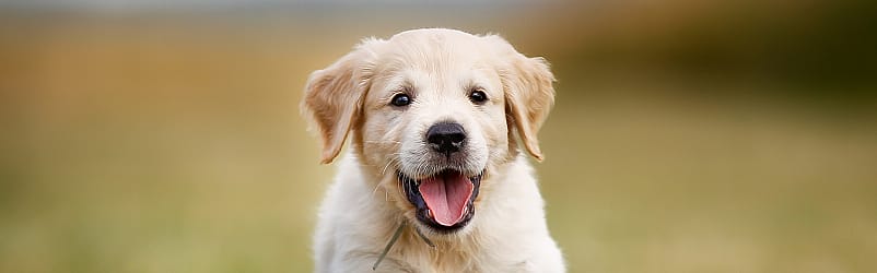 92a87d33db3c6512cab867e32ab23b01