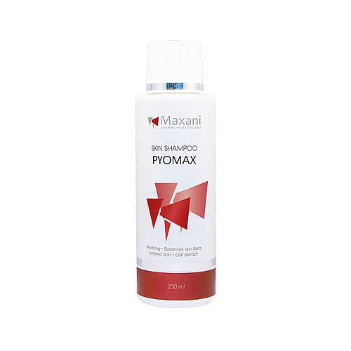 Maxani PyoMax Skin Shampoo Hond Kat Paard 200 ml
