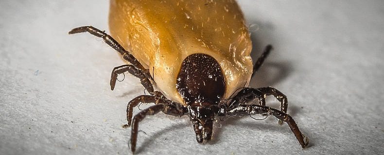 c88ab19acbc9169ffa4f23b6881439bd