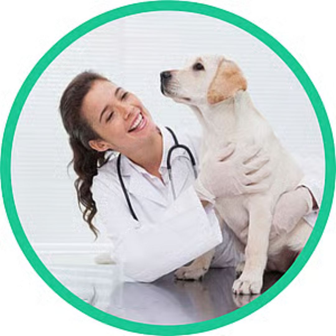 Sanne-verstaat-en-helpt-nu-ook-dieren