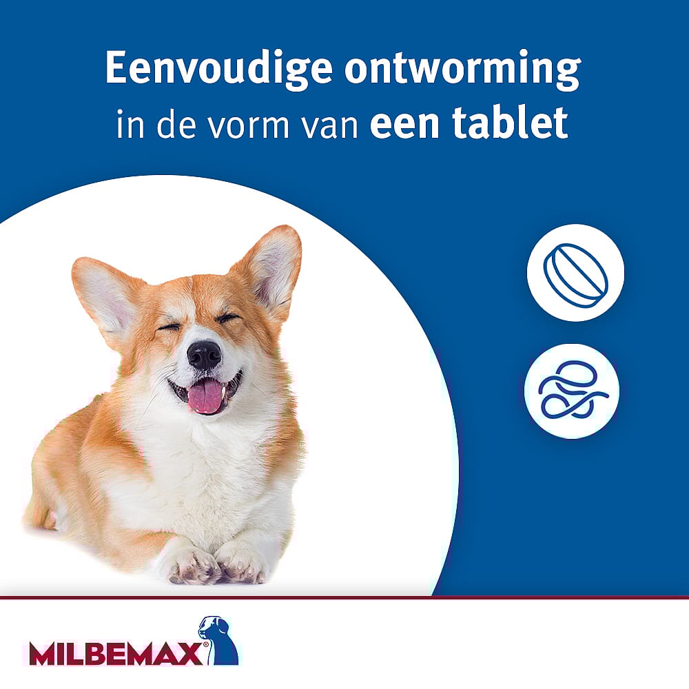 Milbemax Grote Hond Ontwormingstabletten 4 tabletten