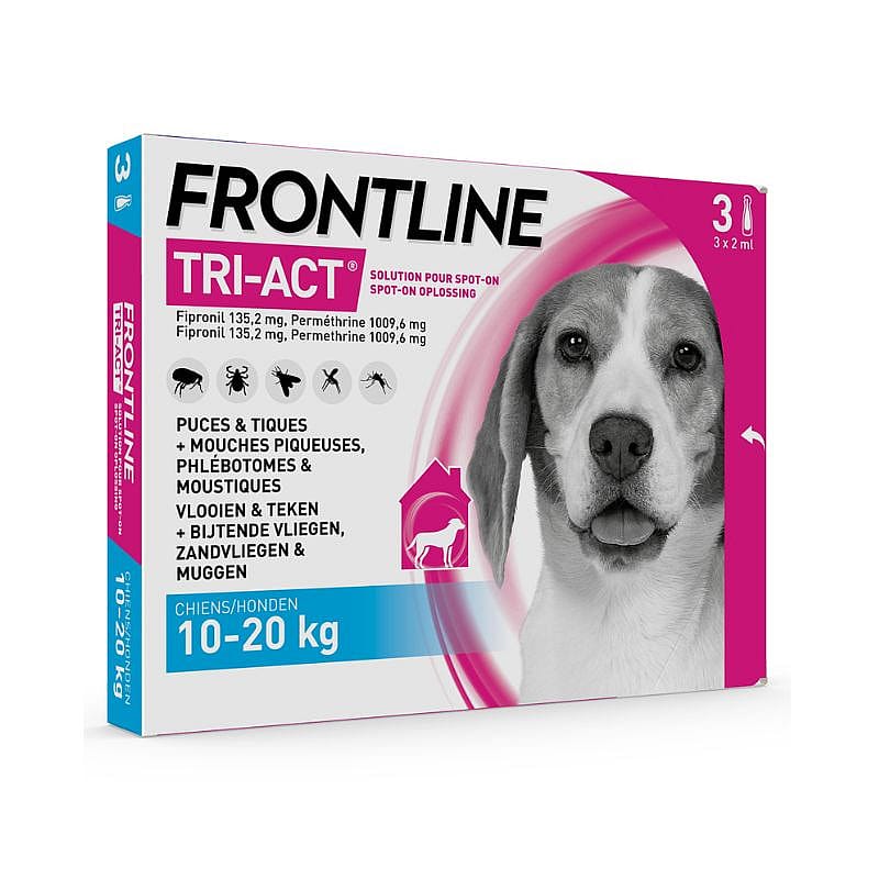 Hond, Zoogdier, Huisdier, Hond, Zoogdier, Huisdier, Hond, Zoogdier, Huisdier, Hond, Zoogdier, Huisdier