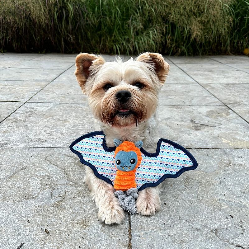 Great & Small Cuddle Me Knots Vleermuis