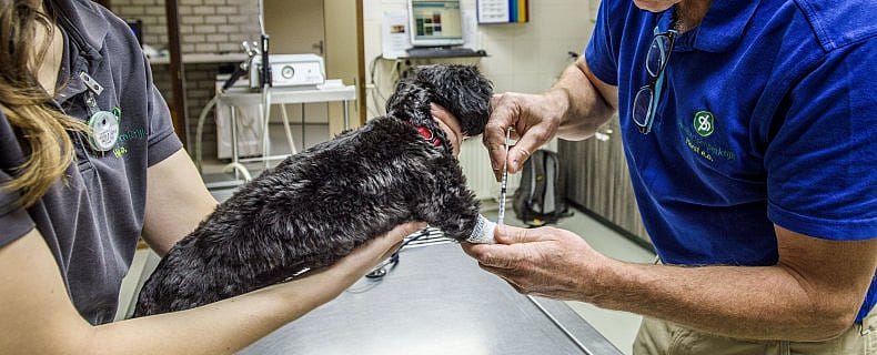 dd136fee7d72cc6967bb0a22ecd5c64b