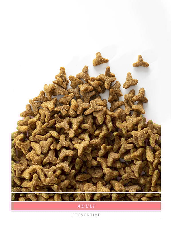 Sanimed Adult Kat: Volledige voeding - Ondersteunt urinewegen - Immuunsysteem - Huid