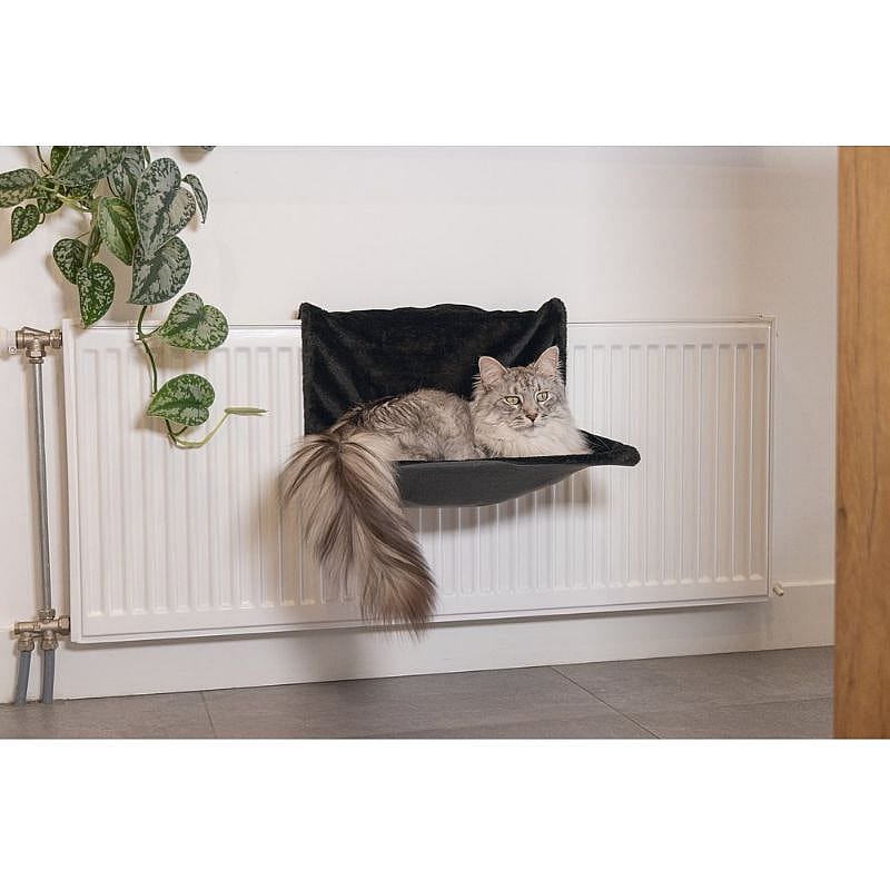 kat, kattenmand, vloerhangmat, plank, guurkat