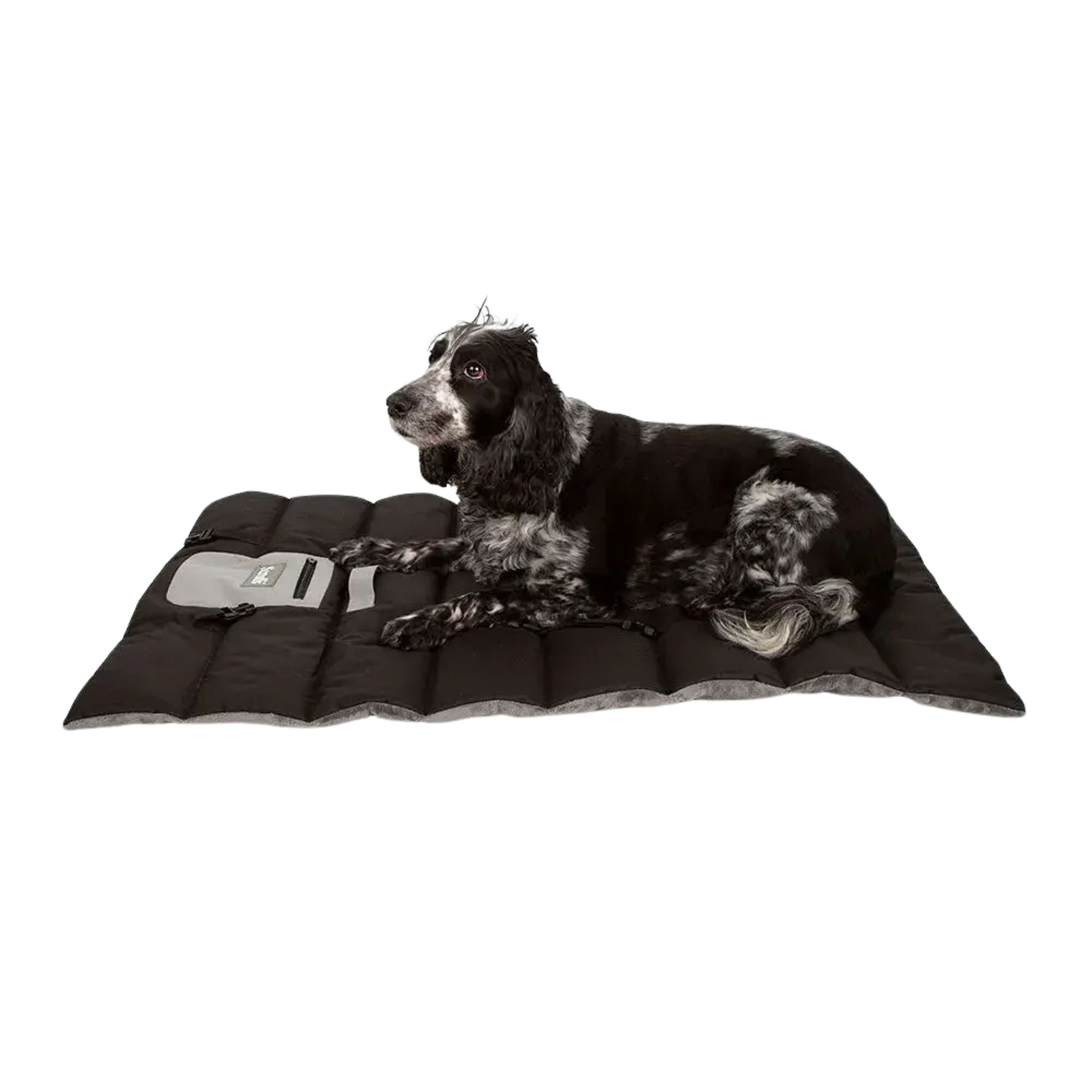 Scruffs Expedition Roll Up Travel Pet Bed Storm Grey
