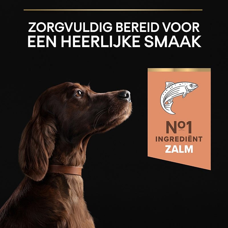 Purina Pro Plan Large Athletic Adult Sensitive Skin Hondenvoer 14 kg