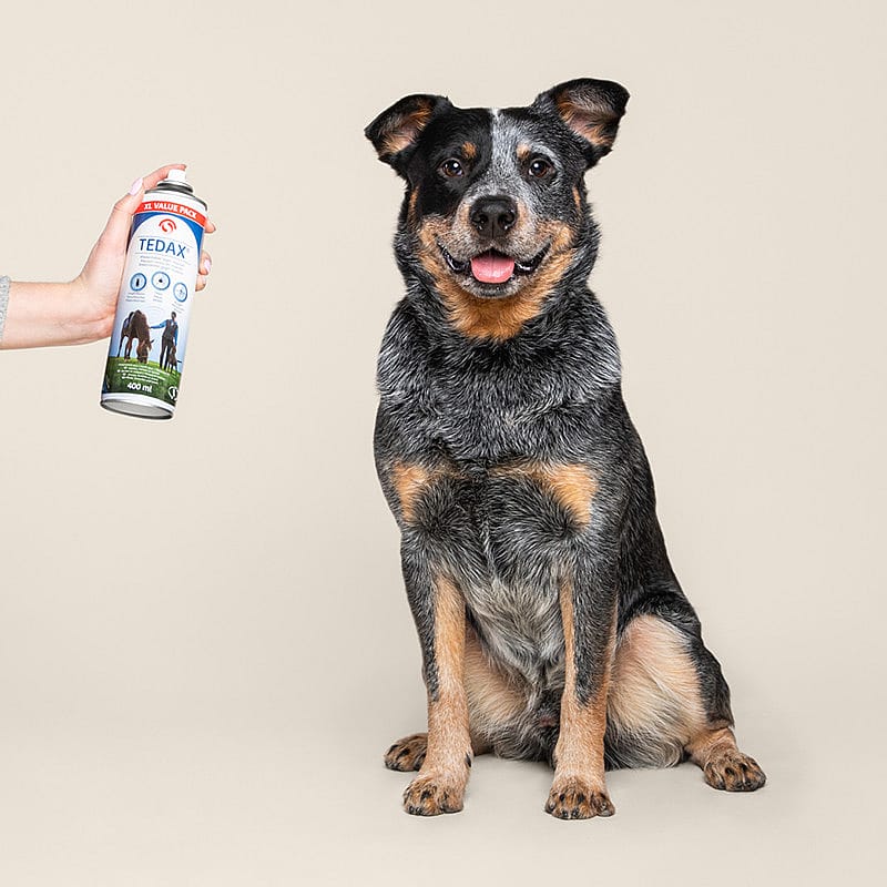 Sectolin Tedax Dazen Teken Vliegen Afweermiddel Sprayflacon 400 ml