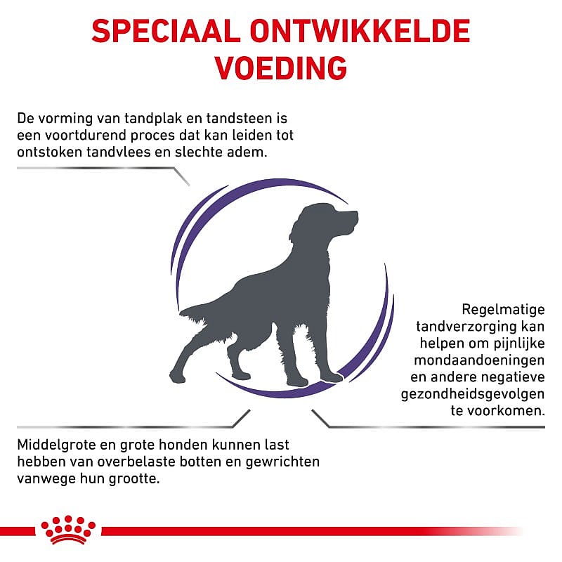 Royal Canin Dental Hond