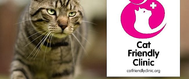 4f6eaa4ea1edfeb5c992b23d43734a87