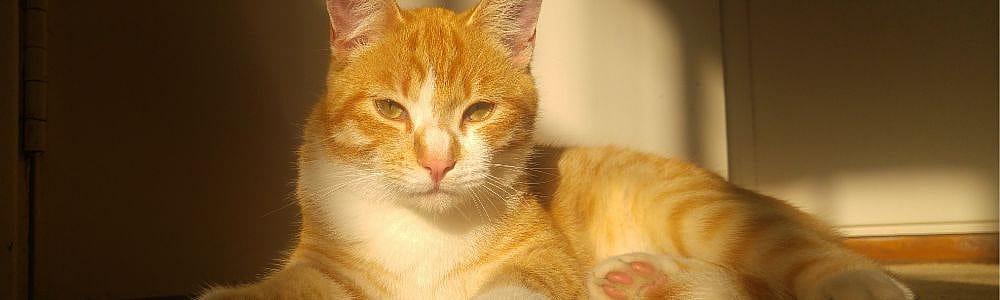 60fe997d74f3fa6edc1dc7117c34937b