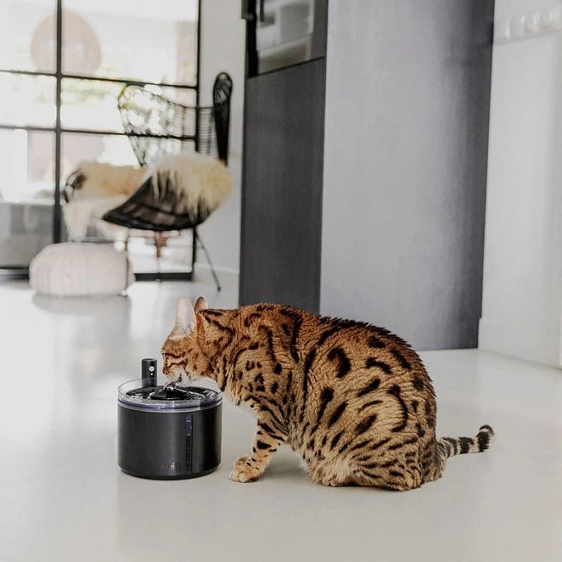 District 70 FLOW 2.2 L Draadloze Drinkfontein Hond Kat Zwart