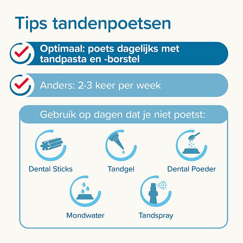 Beaphar Tandpasta en Tandenborstel 1 set