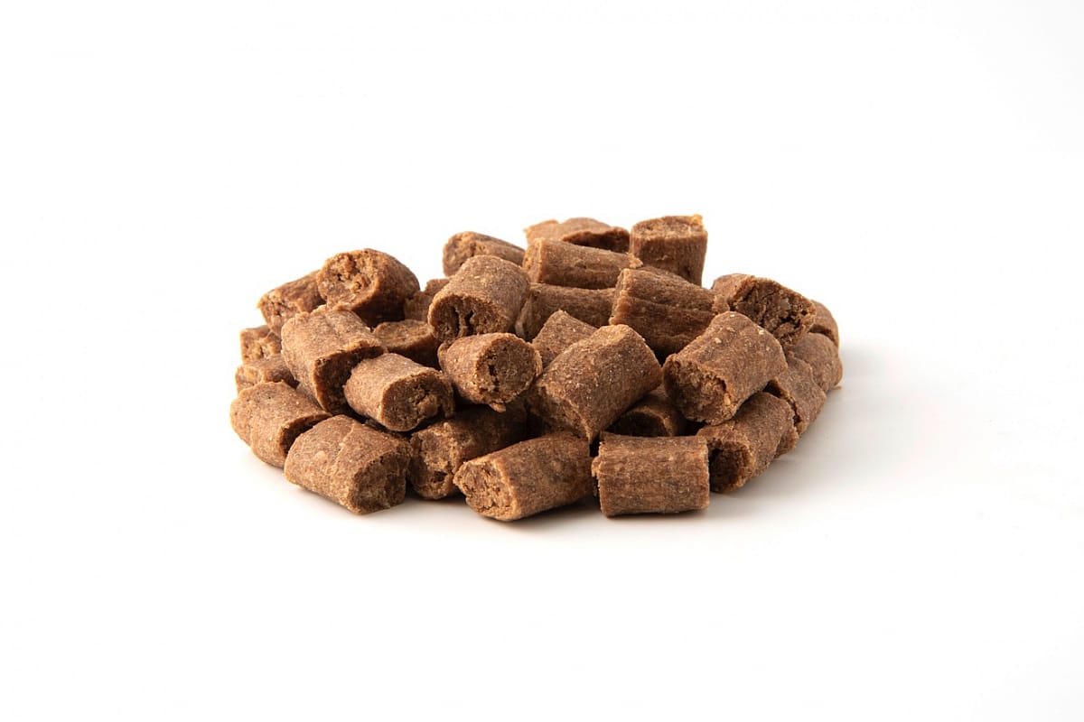 Specific Organic Treats CT-BIO Hond 100 gram