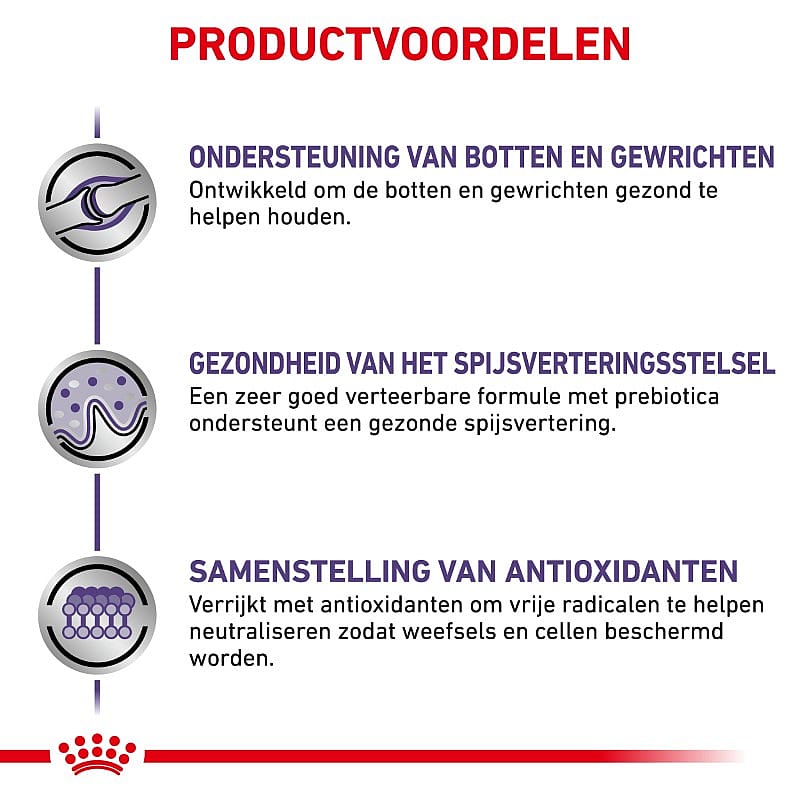 Royal Canin Adult Large Dog 4 kg