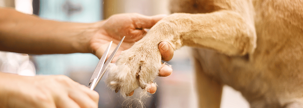 d802d4b15f3e7a304f0fdf53e2aa206c