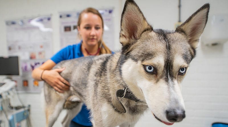 80e68f8a7320c6d11efc39e56afe848c