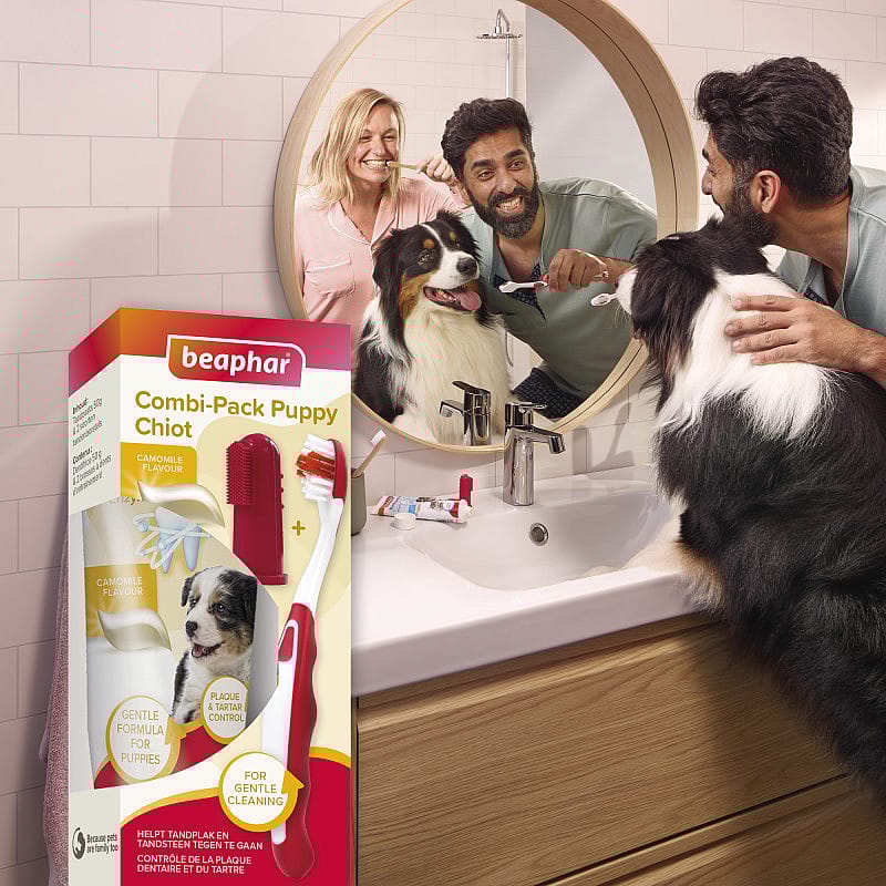Beaphar Combi-Pack Puppy Tandpasta & Borstel