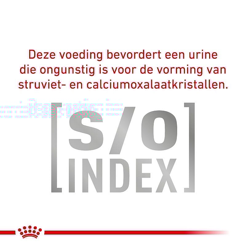 Royal Canin Urinary S/O Small Dog
