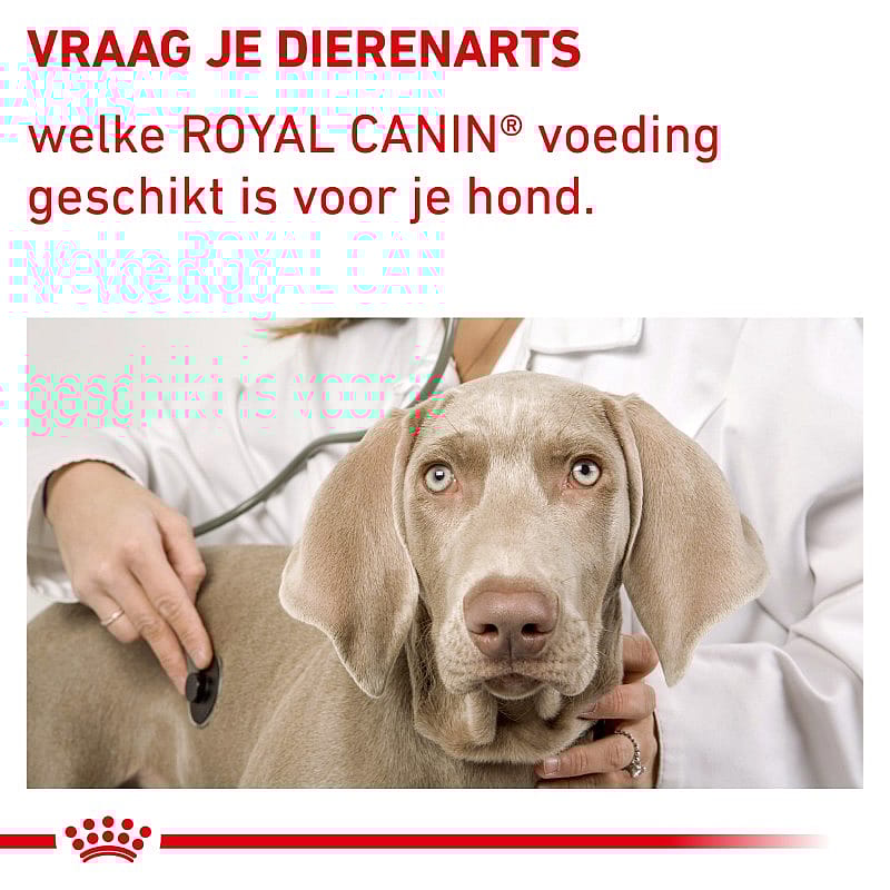 Royal Canin Dental Hond