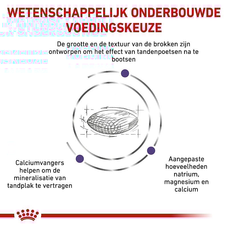 Royal Canin Dental Small Dog 1.5 kg