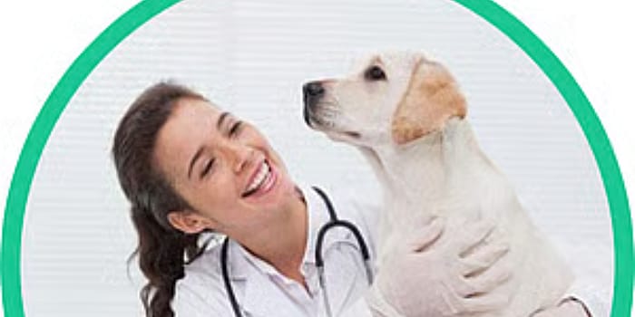 Sanne-verstaat-en-helpt-dieren