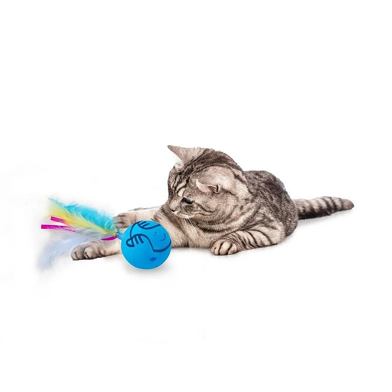 kat, knaagdier speelgoed, bal, verfijnd pluim