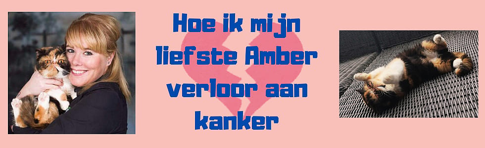 Hoe Sally haar lieve poes Amber verloor aan kanker