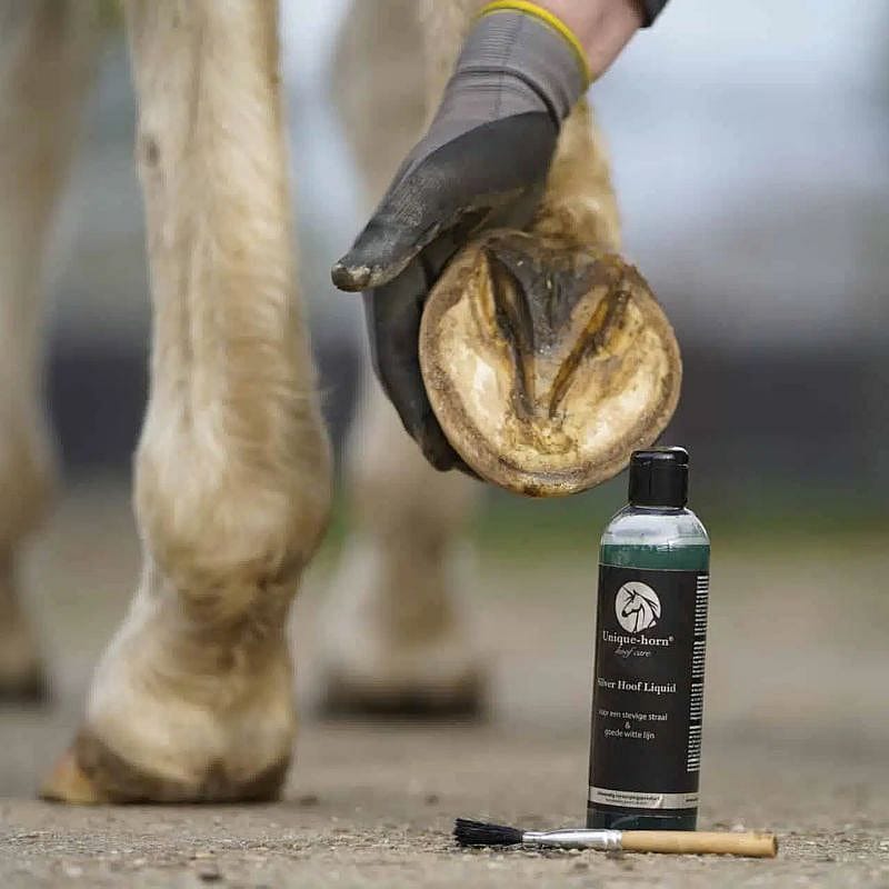 hoef, paard, hoefverzorging, glijdt, verzorgingsproduct