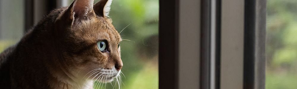 6a8d17459b22f2f9da07647070a12fd5