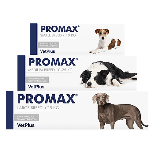 Vetplus Promax Spijsvertering Hond 30 ml - grote rassen >25 kg