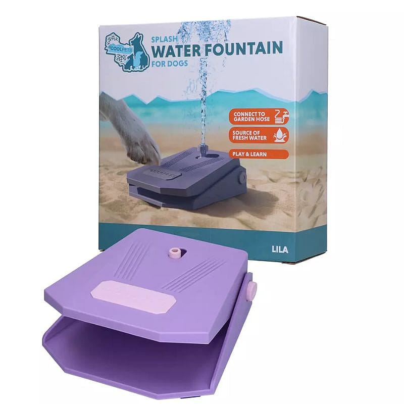 water fountain, dog, purple, plastic, garden hose