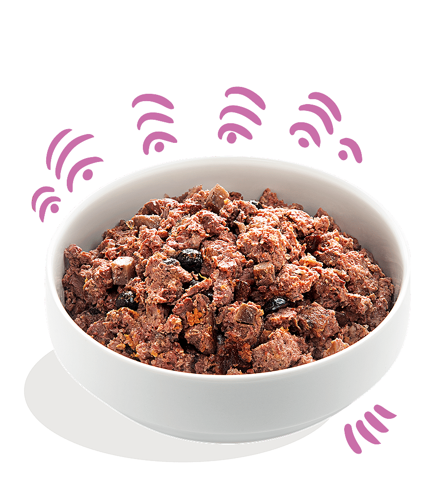 Edgard & Cooper Adult Hondenvoer Blikjes Wild en Eend 6 x 400 gram