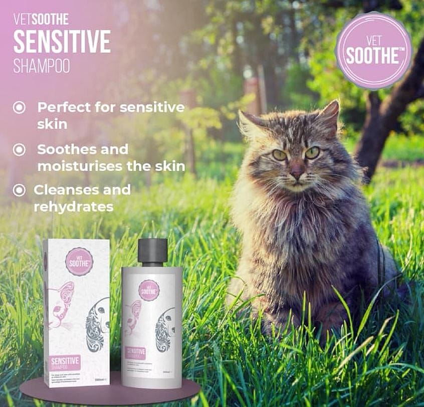 VetSoothe Sensitive Shampoo Hond Kat