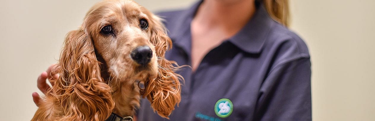 a9366fdd19a5fbb2fe343a5f2d922227