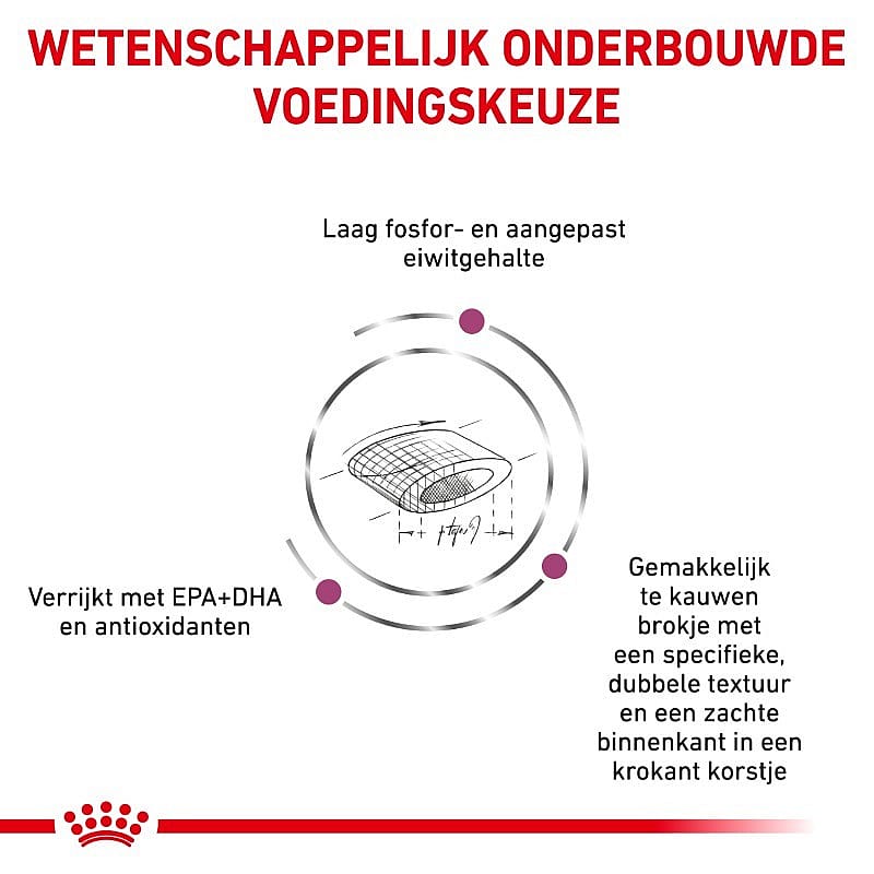 Royal Canin Renal Select Kat