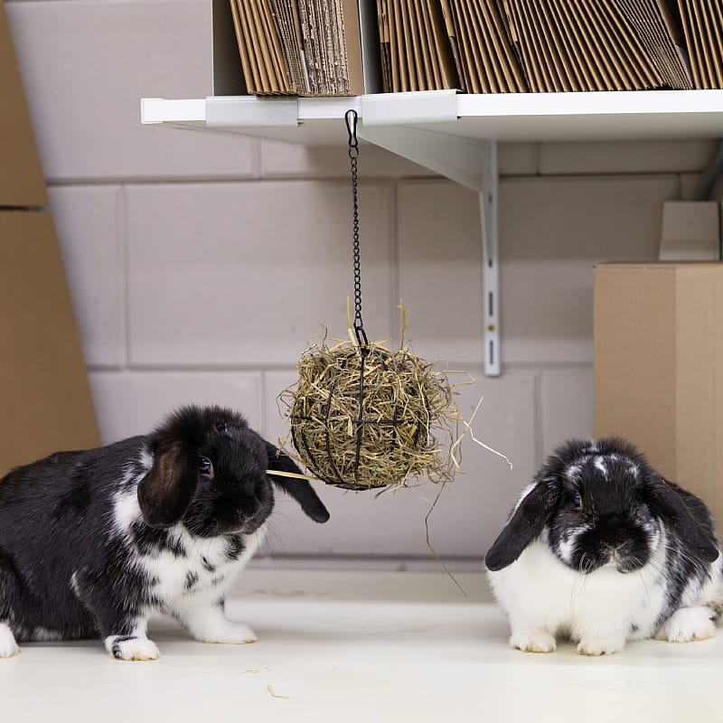 Trixie Food Ball Voerbal Metaal Konijn Knaagdier