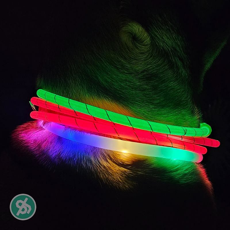 Trixie Flash Lichtgevende Halsband USB Hond