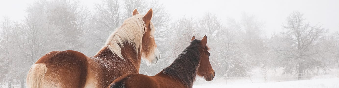 05feacdb9bade0acde11b321ccf95149