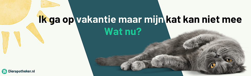 29ac1f6b8716975aa22709f2dad959d8