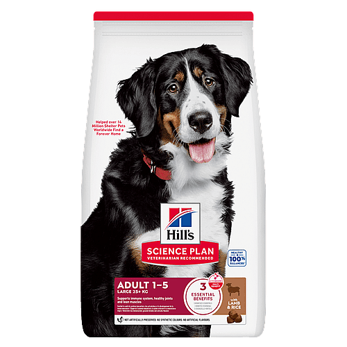 dog food, adult, kibble, lamb & rice, 3 kg