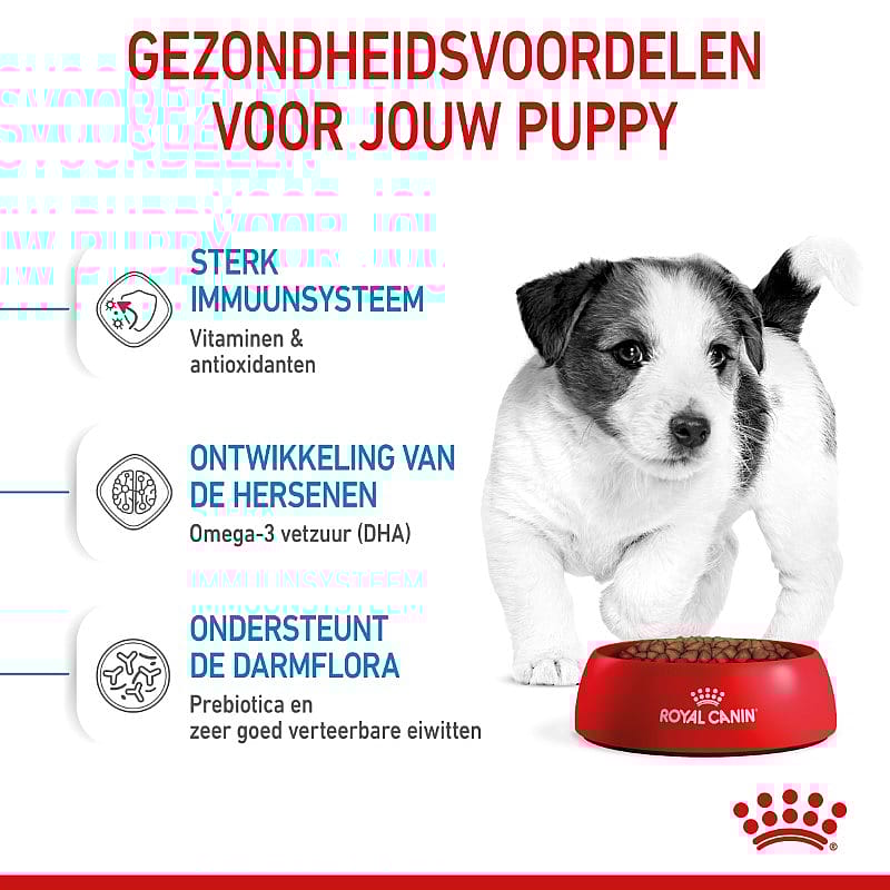 Royal Canin Puppy Mini