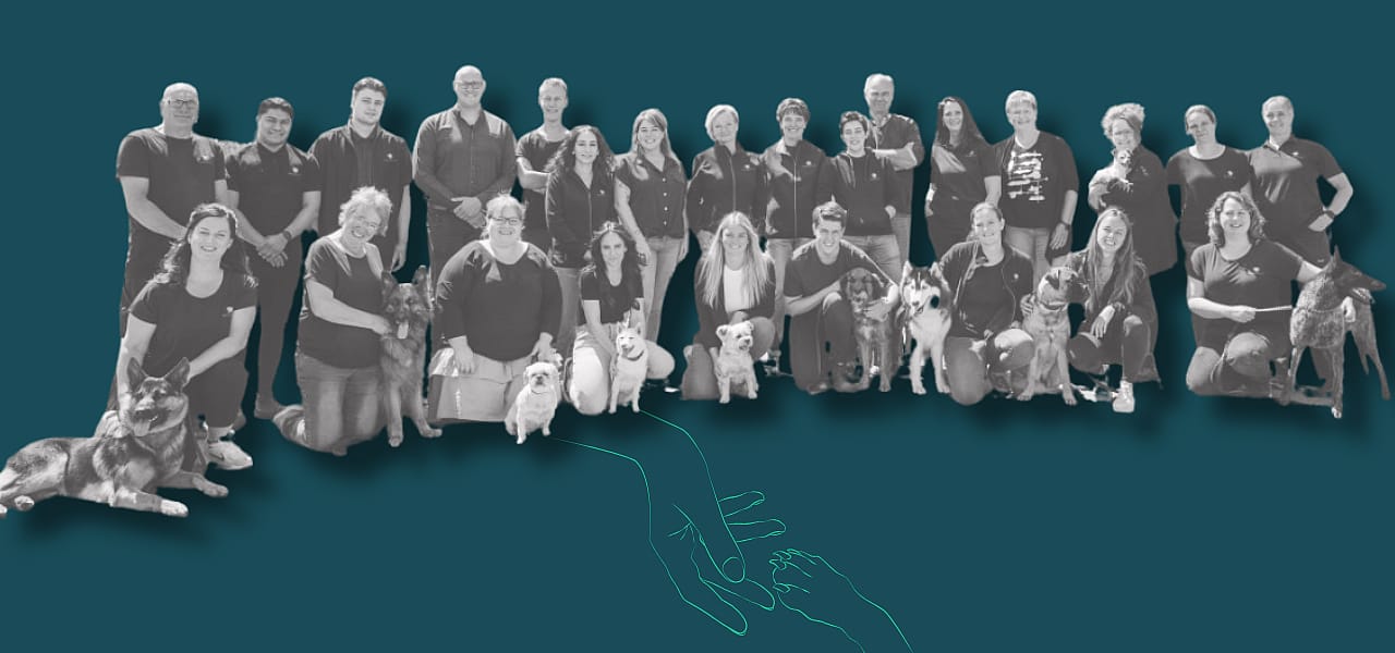 Mensen, Persoon, Volwassene, Vrouwelijk, Vrouw