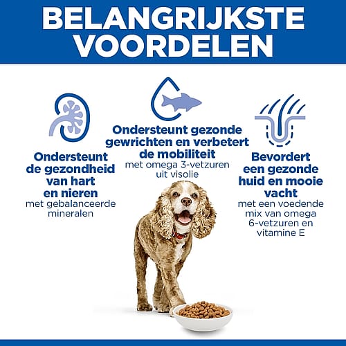 dog, dog food, kibble, bowl, beige