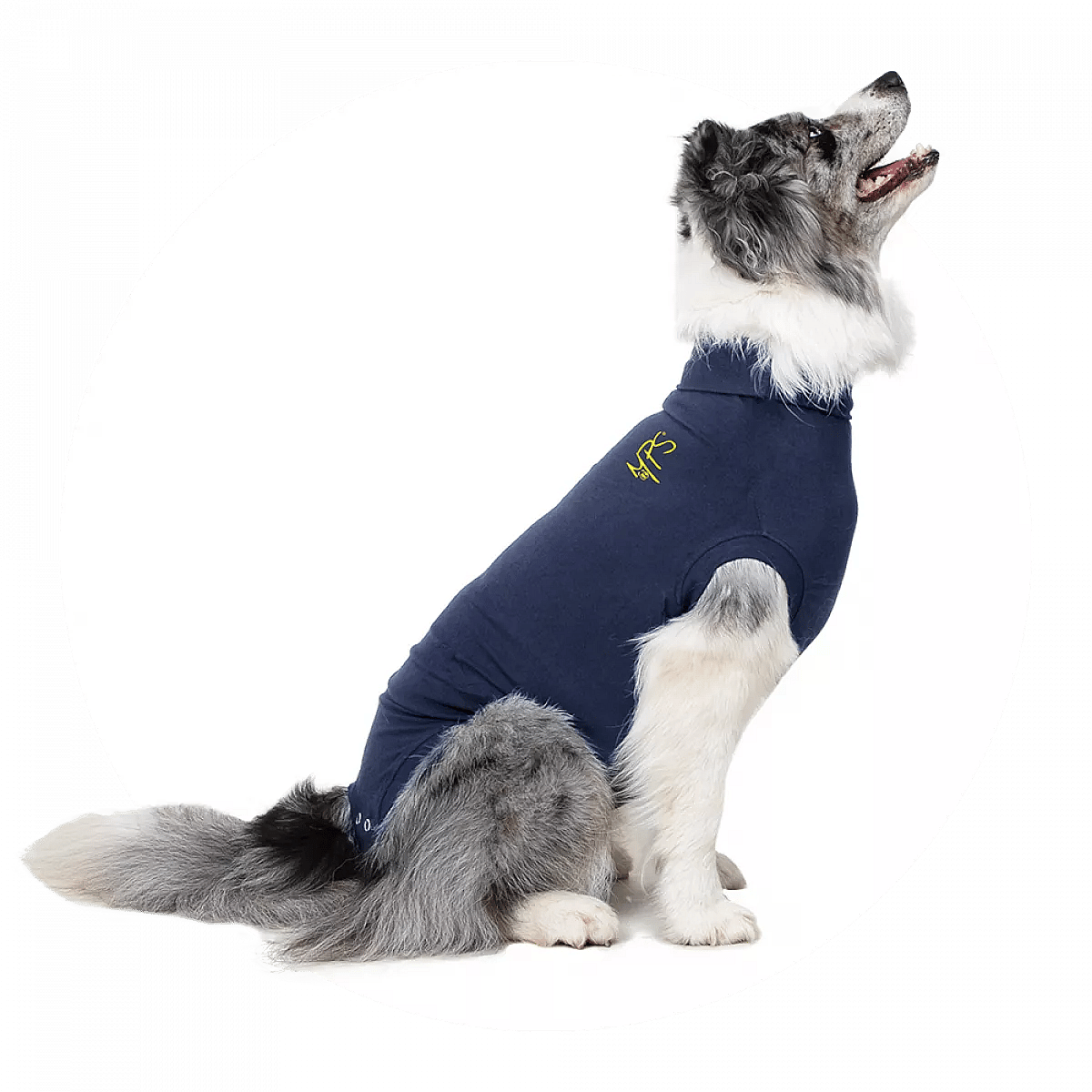 Medical Pet Shirt Hond Maat Large