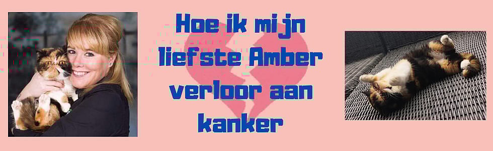 Hoe_Sally_haar_lieve_poes_Amber_verloor_aan_kanker_Main_Image_980x300px