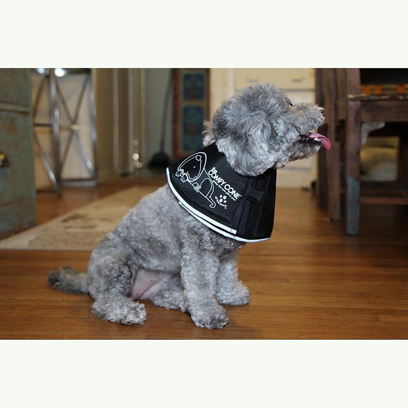 Comfy Cone Hondenkraag X-Small - Zwart